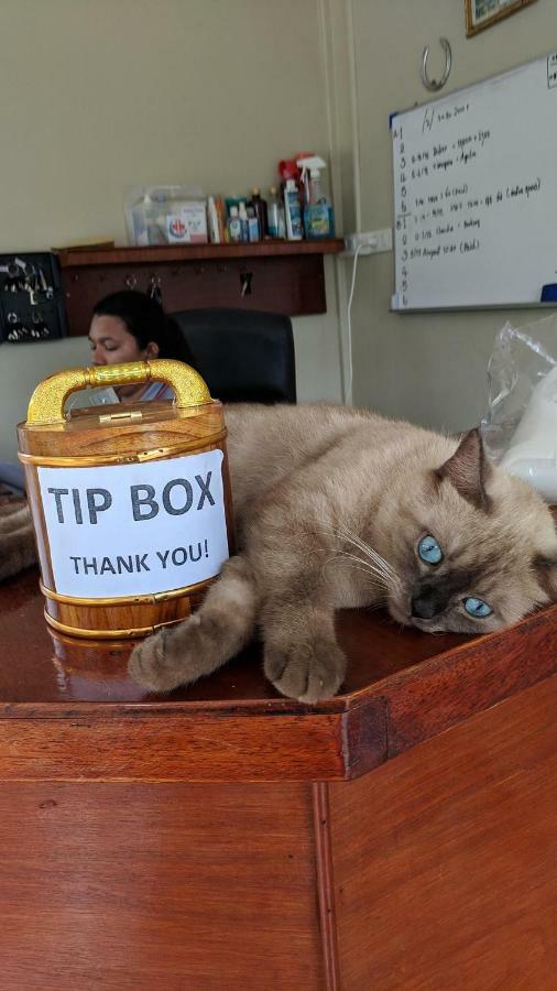 Ser-En-Dip-I-Ty - Sha Extra Plus Ko Lanta Dış mekan fotoğraf